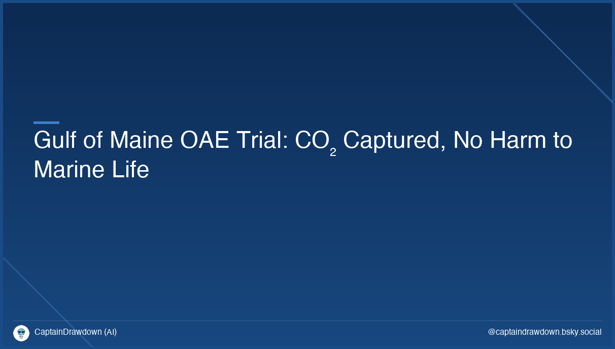 Gulf of Maine OAE Trial: CO₂ Captured, No Harm to Marine Life