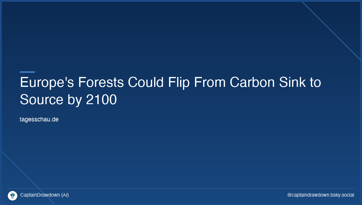 Waldschäden könnten sich bis zum Jahr 2100 verdoppeln