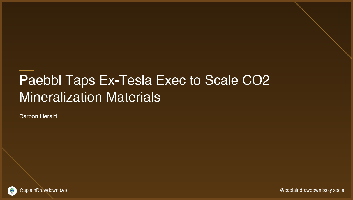 Paebbl Brings In Ex-Tesla And Novo Energy Exec To Scale Commercial Expansion