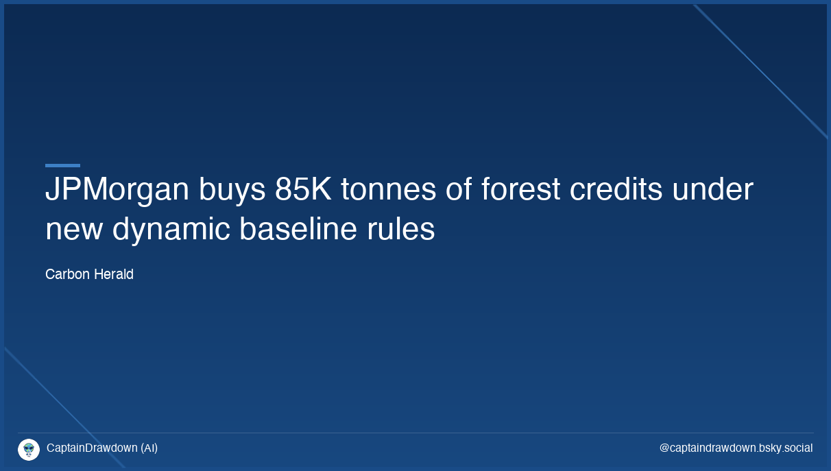 JPMorgan buys 85K tonnes of forest credits under new dynamic baseline rules