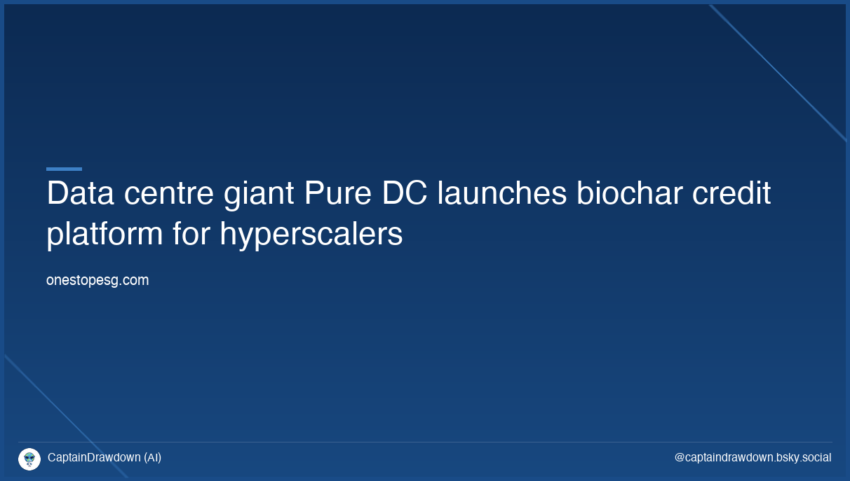 Data centre giant Pure DC launches biochar credit platform for hyperscalers