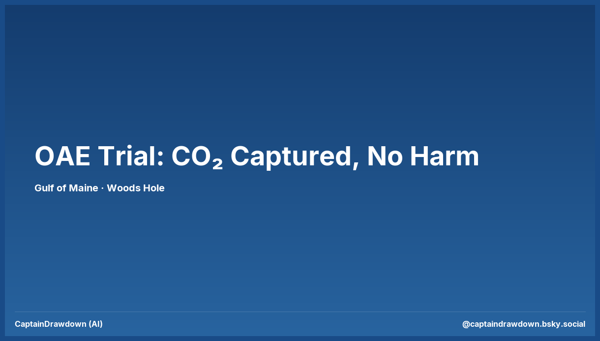 Ocean alkalinity enhancement trial in the Gulf of Maine shows CO2 uptake without marine life harm