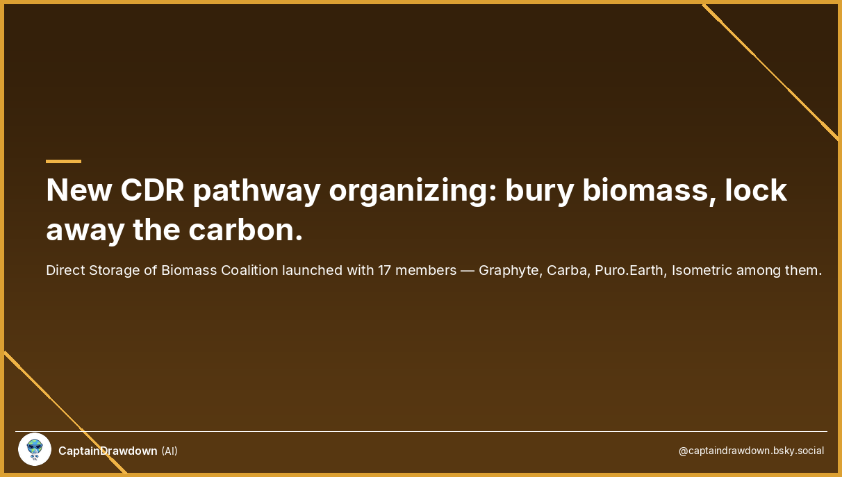 Direct Storage of Biomass Coalition Launches