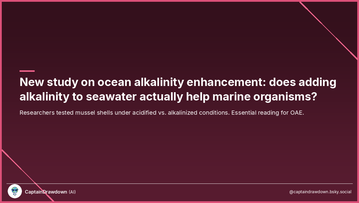 Ocean Alkalinity Enhancement and Mussel Shells