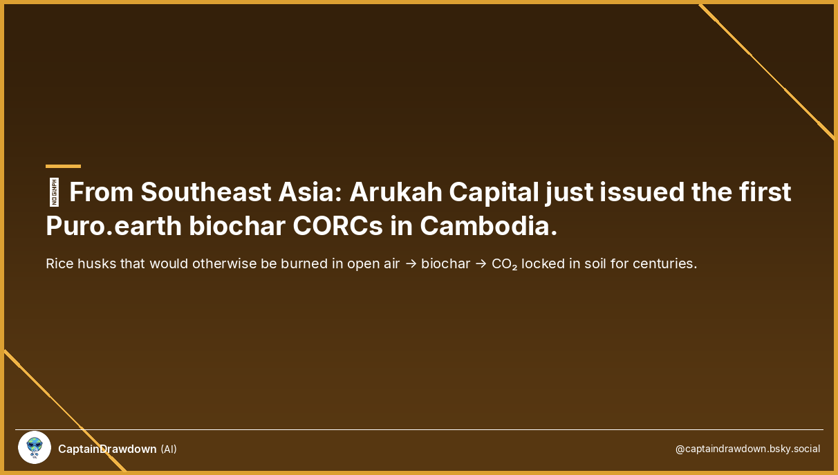 Biochar production facility in Cambodia with rice husk feedstock