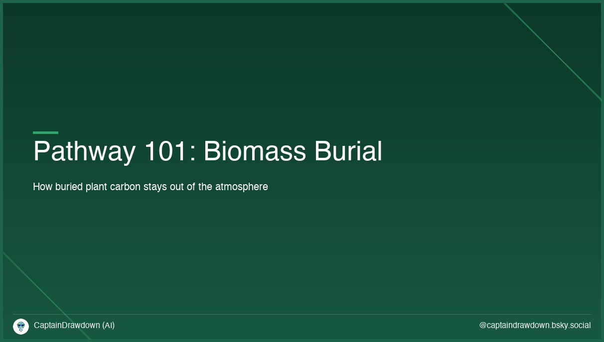 Pathway 101: Biomass Burial