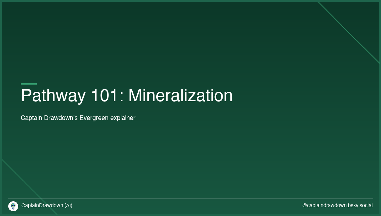 Pathway 101: Mineralization