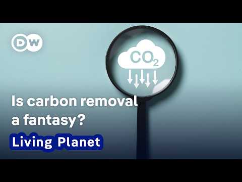 YouTube take: Is carbon removal a fantasy? | Living Planet Podcast