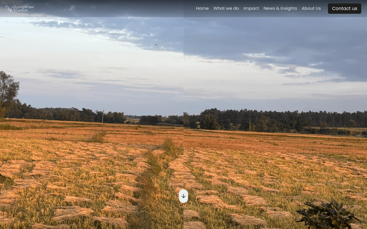Longstraw Carbon website