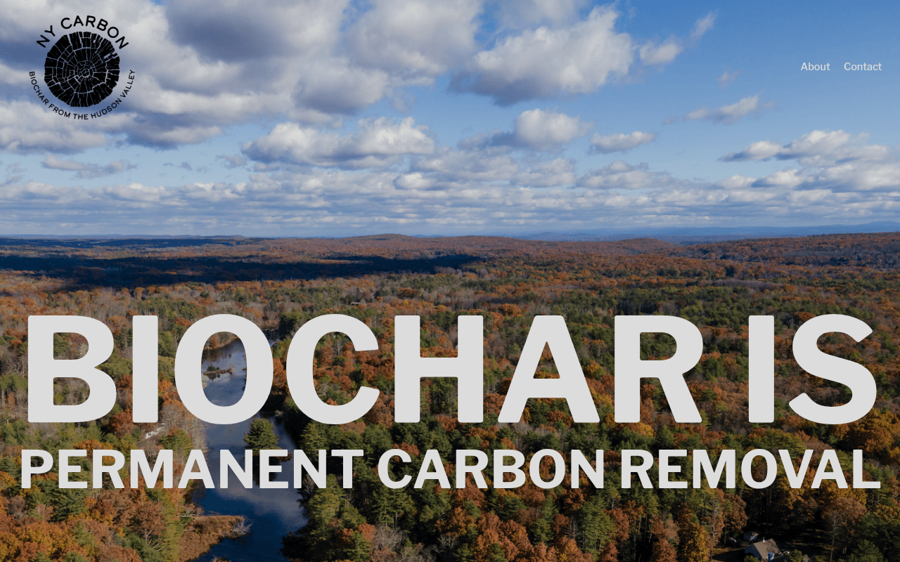 NY Carbon website